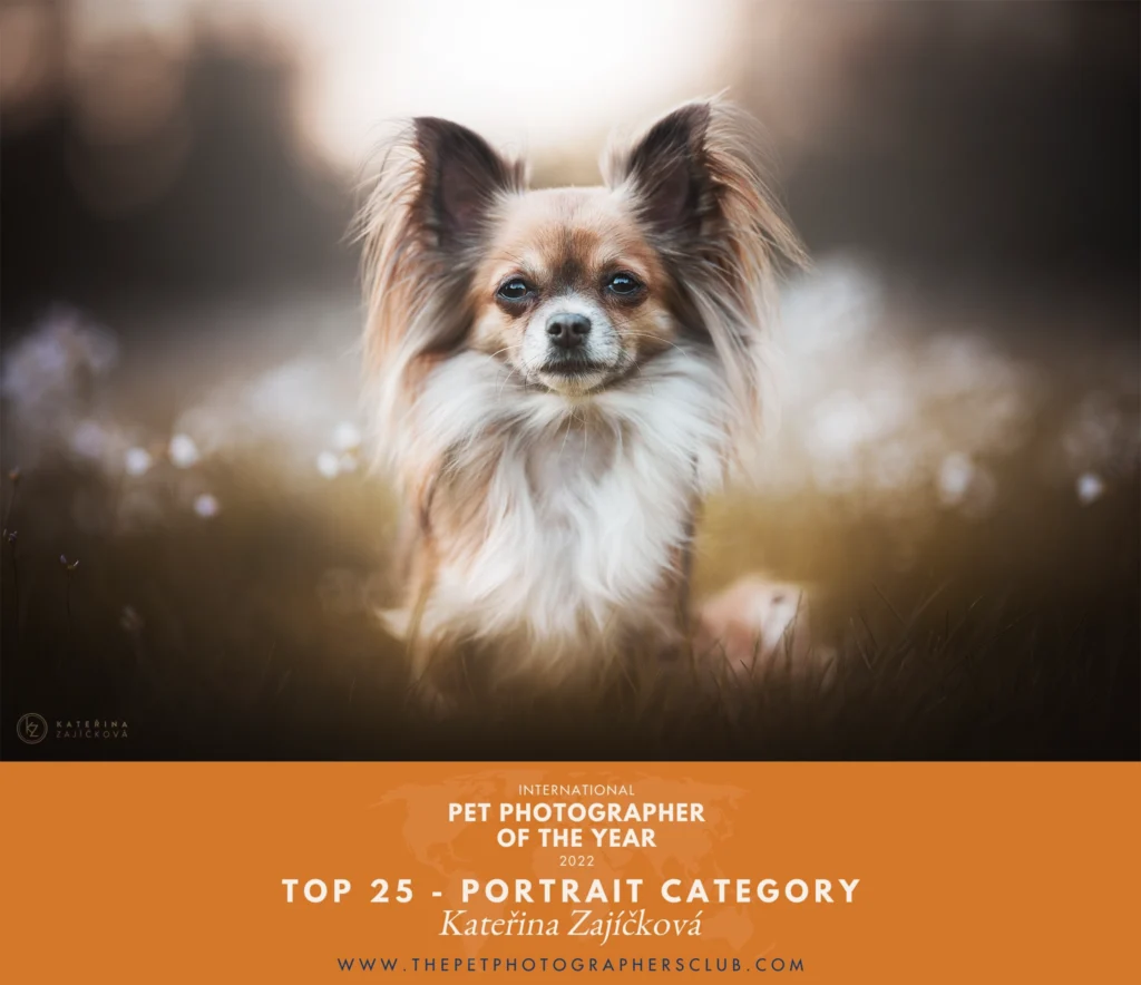 Pet Photographer of the Year Award 25 Shortlist 2022
